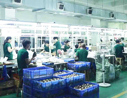 Сборка готовой продукции